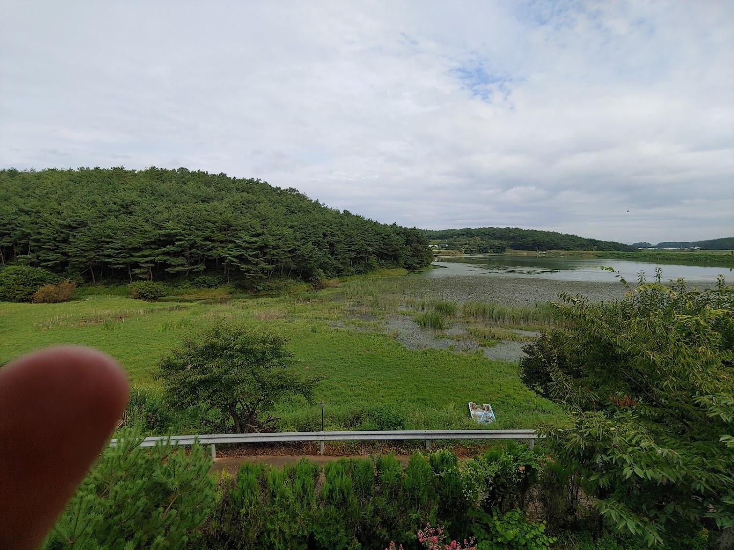 Cover Image for 자연과호수