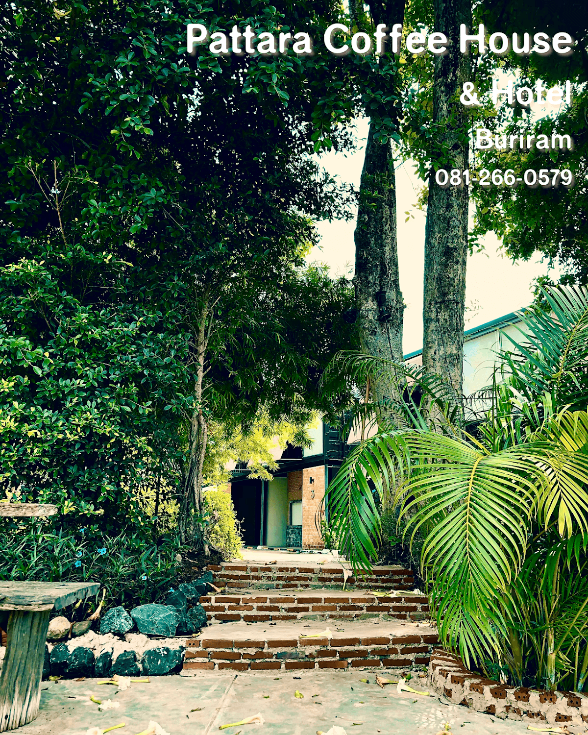 Cover Image for Pattara House