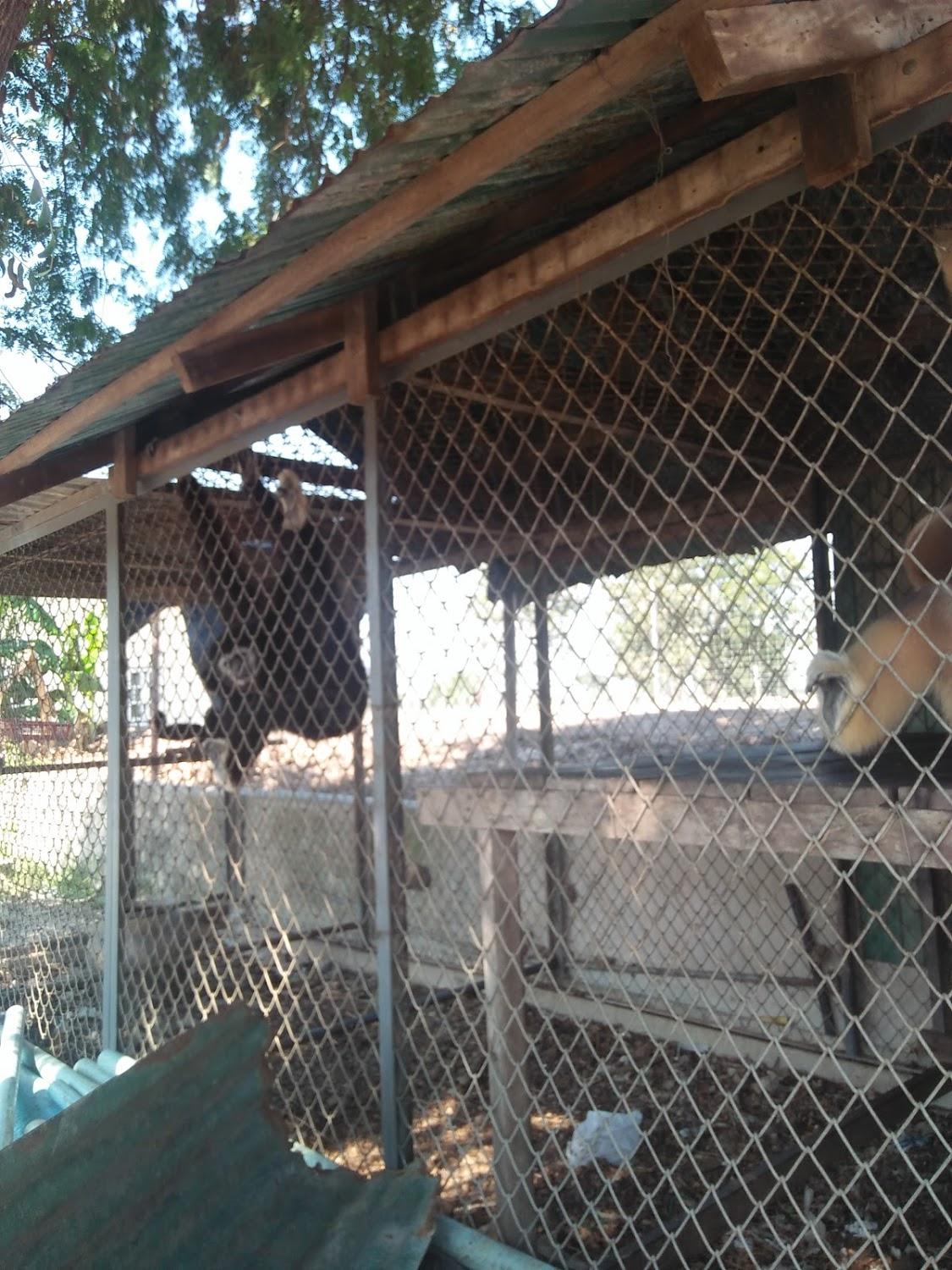 Cover Image for Ban Kanchanawan
