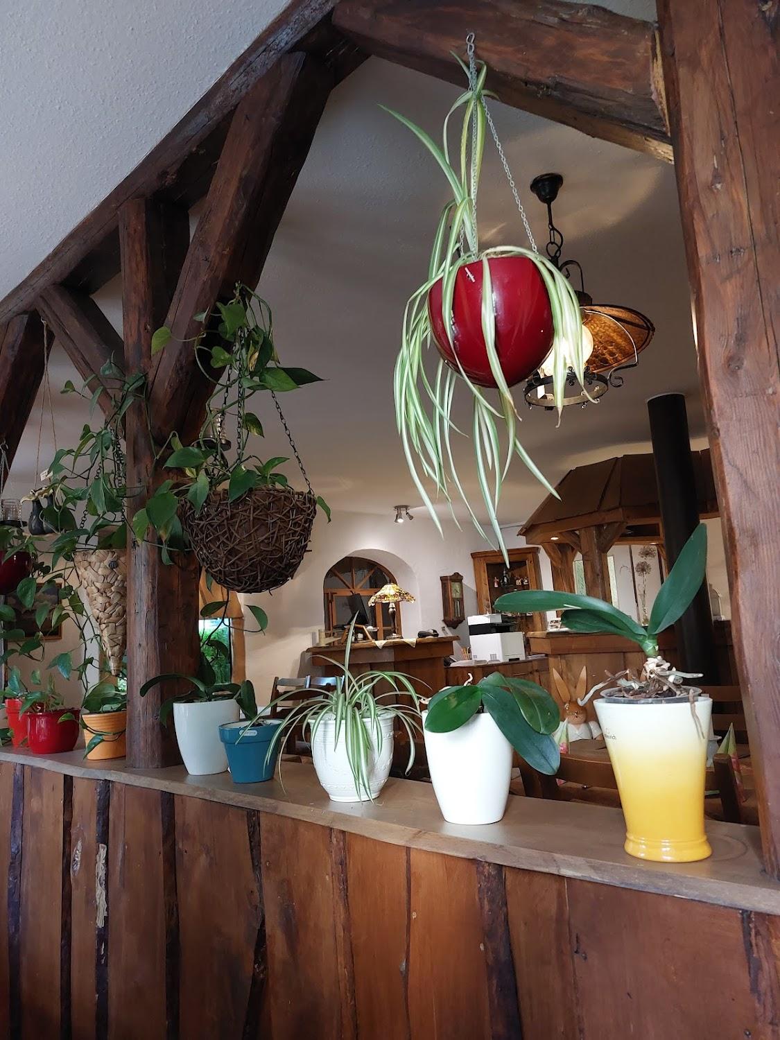 Cover Image for Landhotel Kleinschirma