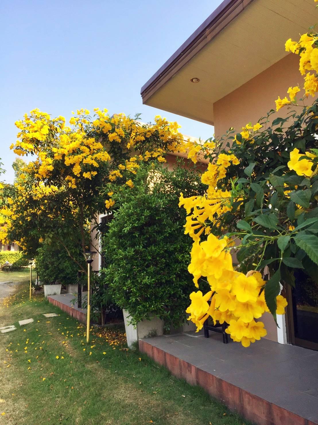 Cover Image for Ratchanee Resort