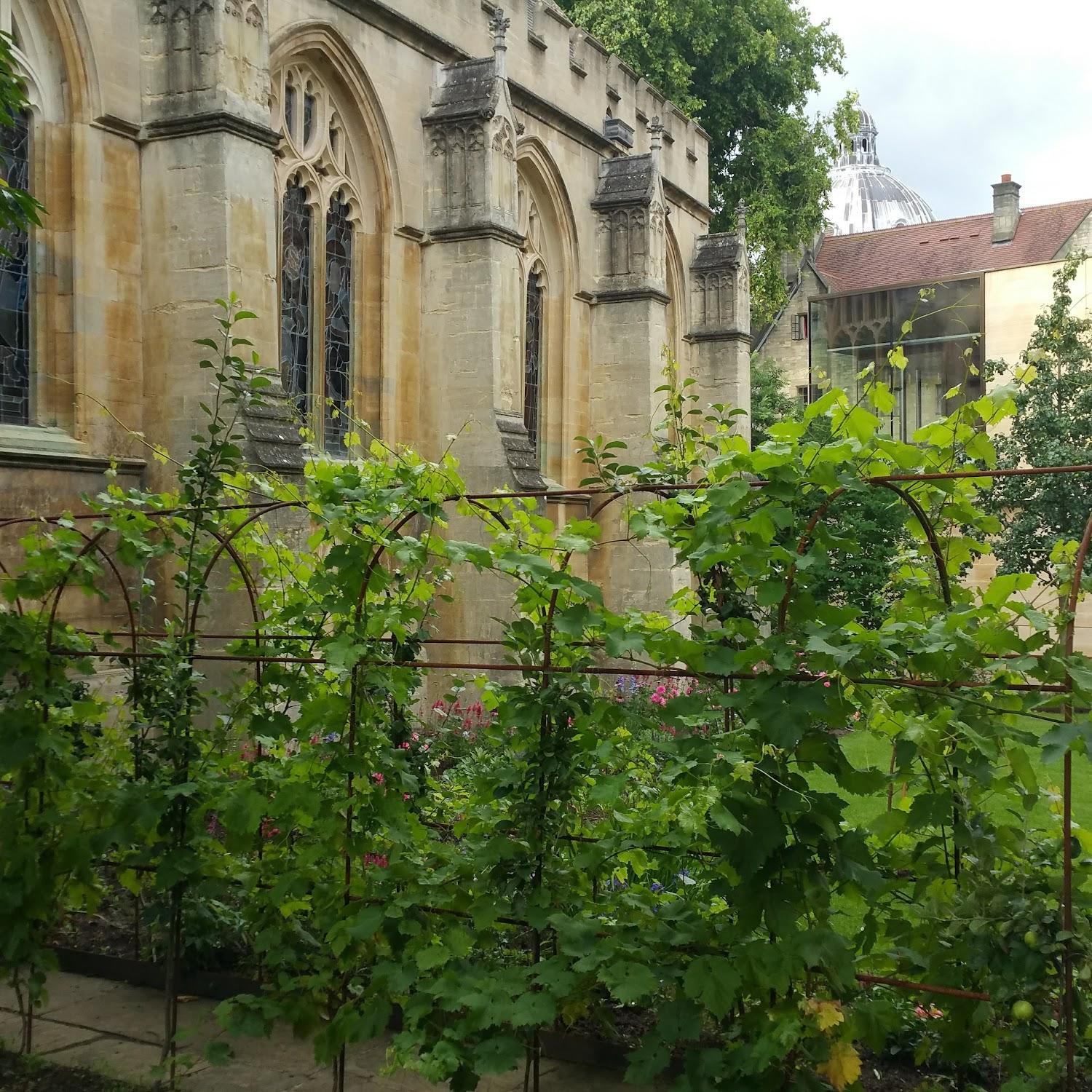 Cover Image for Lincoln College