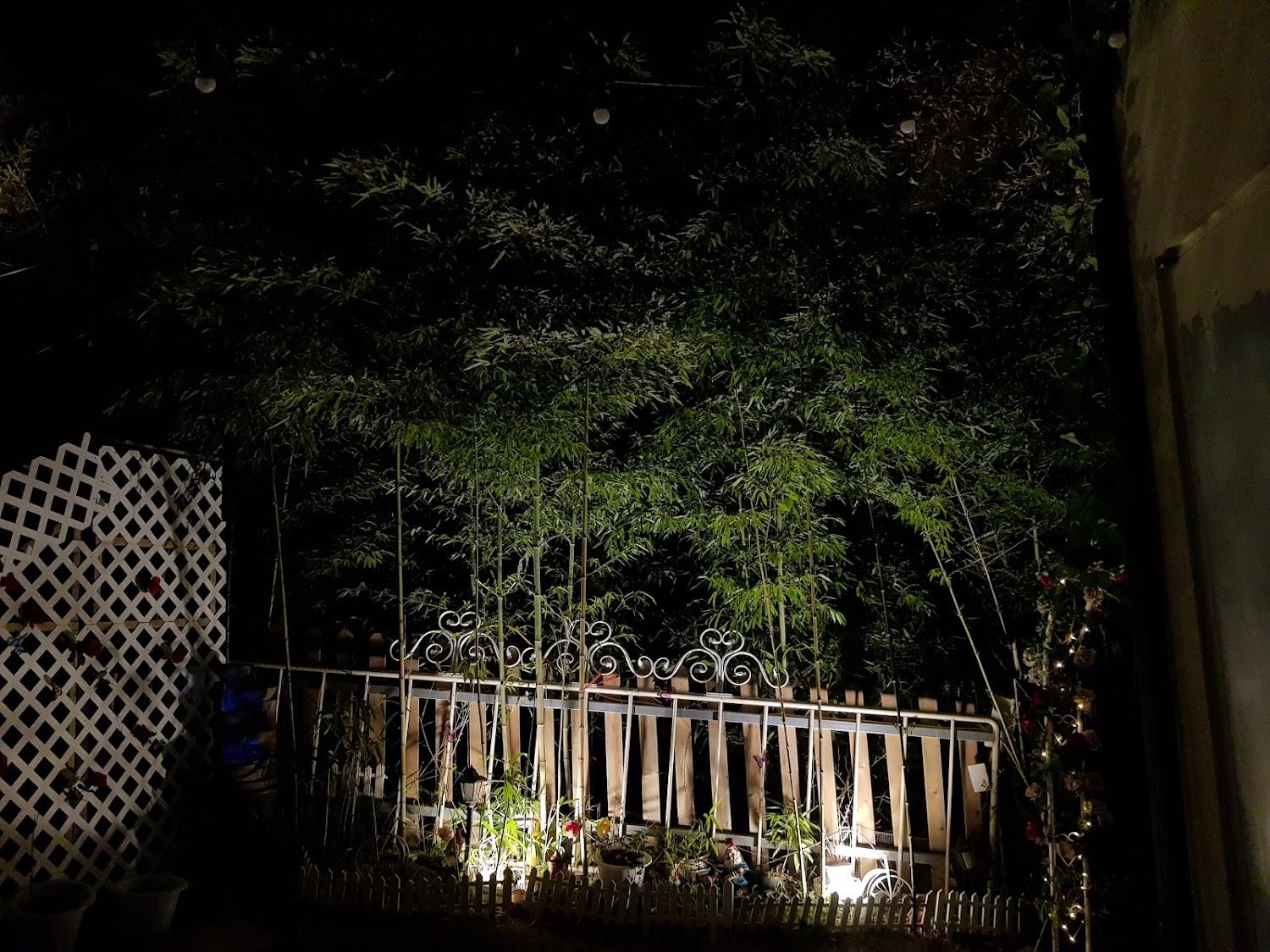 Cover Image for 힐링숲펜션