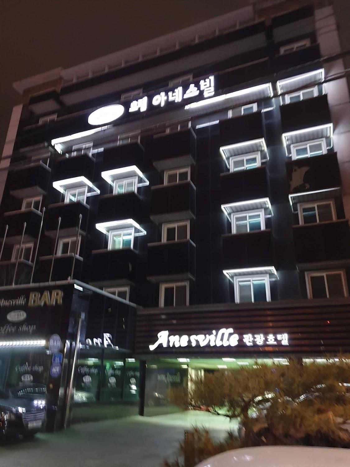 Cover Image for Hotel Anesville