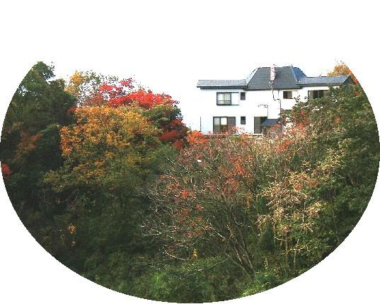 Cover Image for ペンション伊豆子