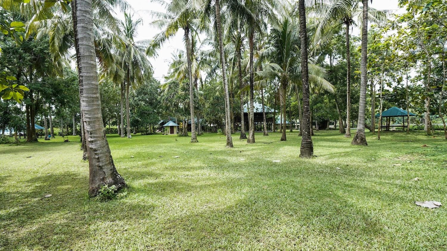 Cover Image for Aksara Villa (Nusa Penida)
