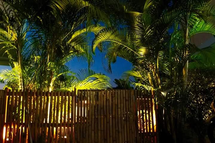 Cover Image for The Garden