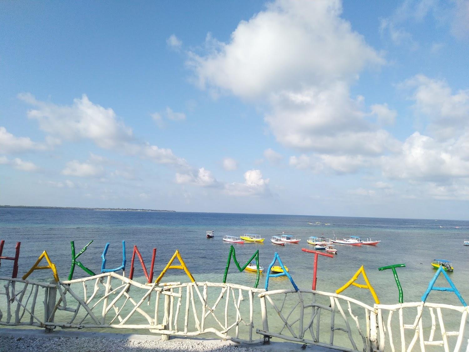 Cover Image for Hakuna Matata Resort