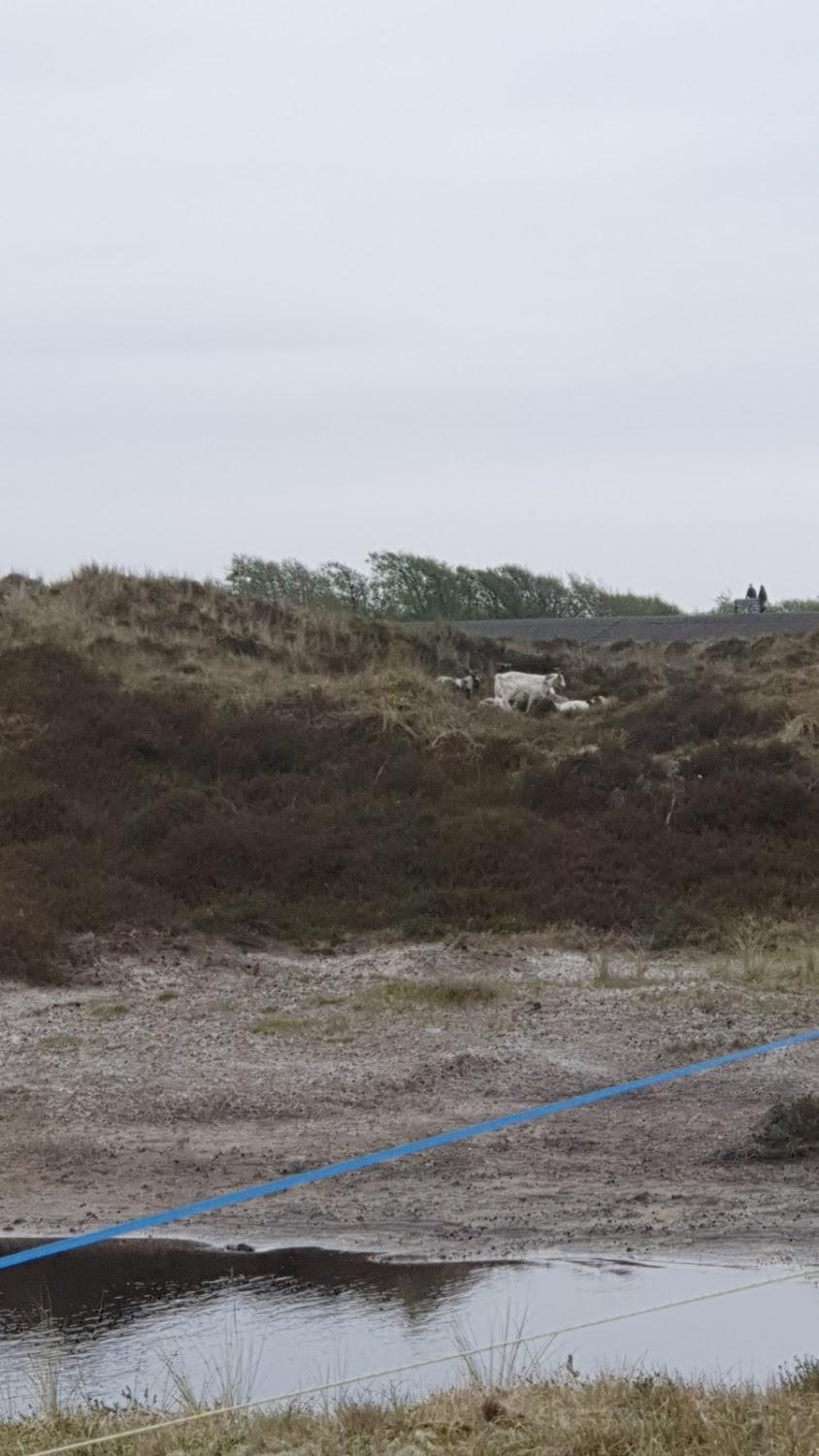 Cover Image for Sankt Peter Ording