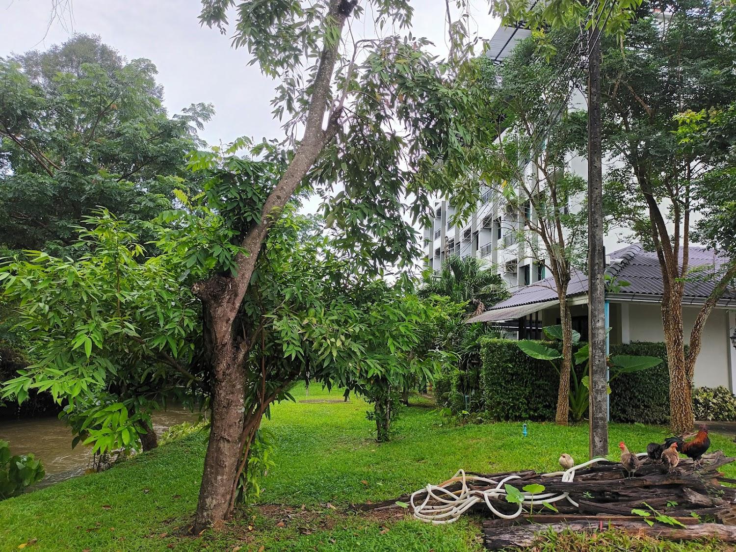 Cover Image for DD Residence