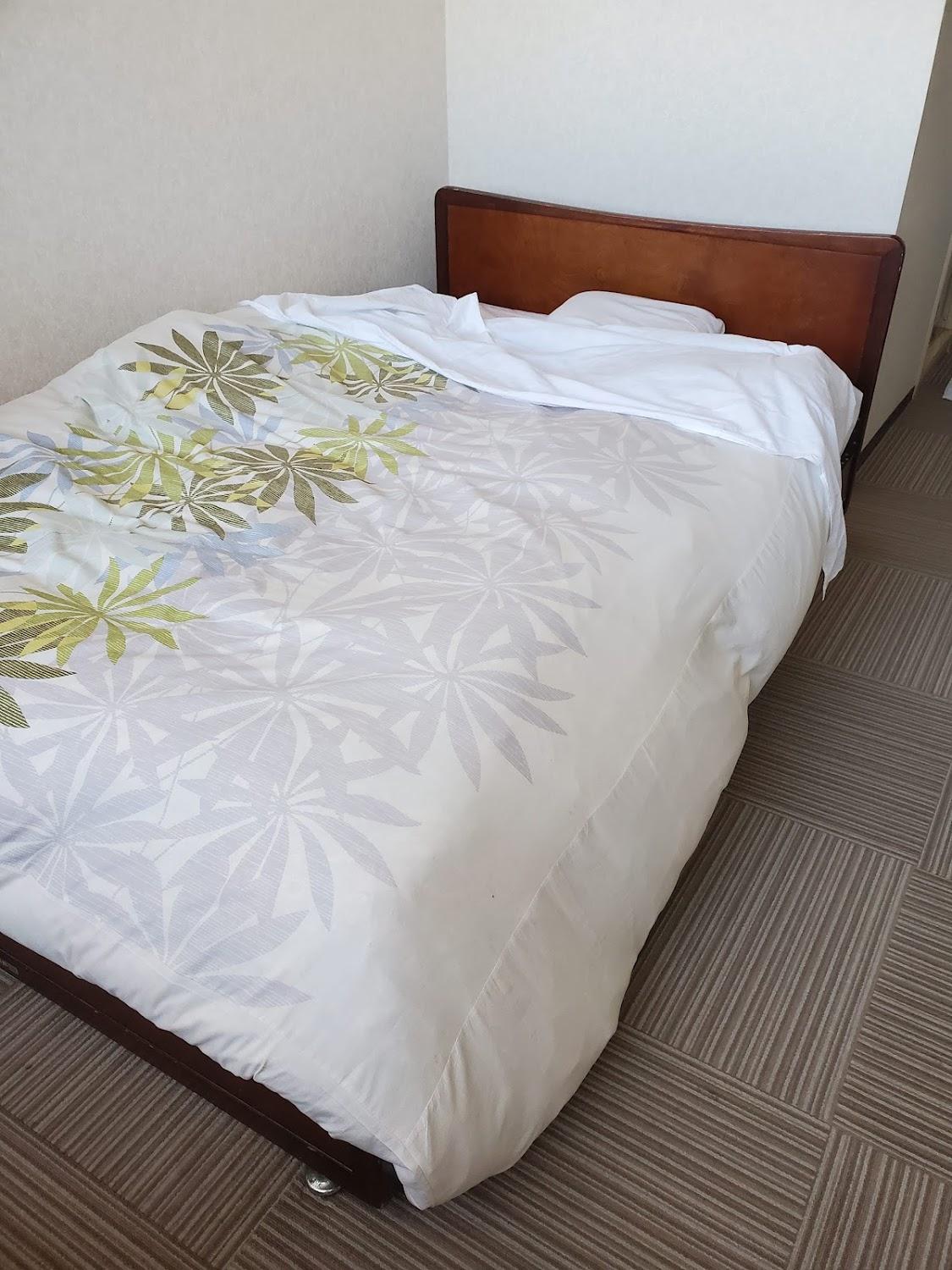 Cover Image for Ito Station Hotel