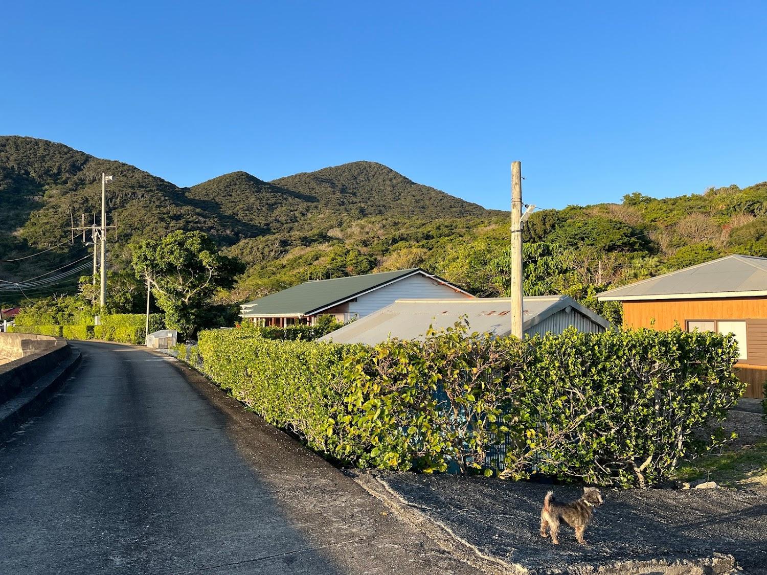 Cover Image for woodville house kakeroma