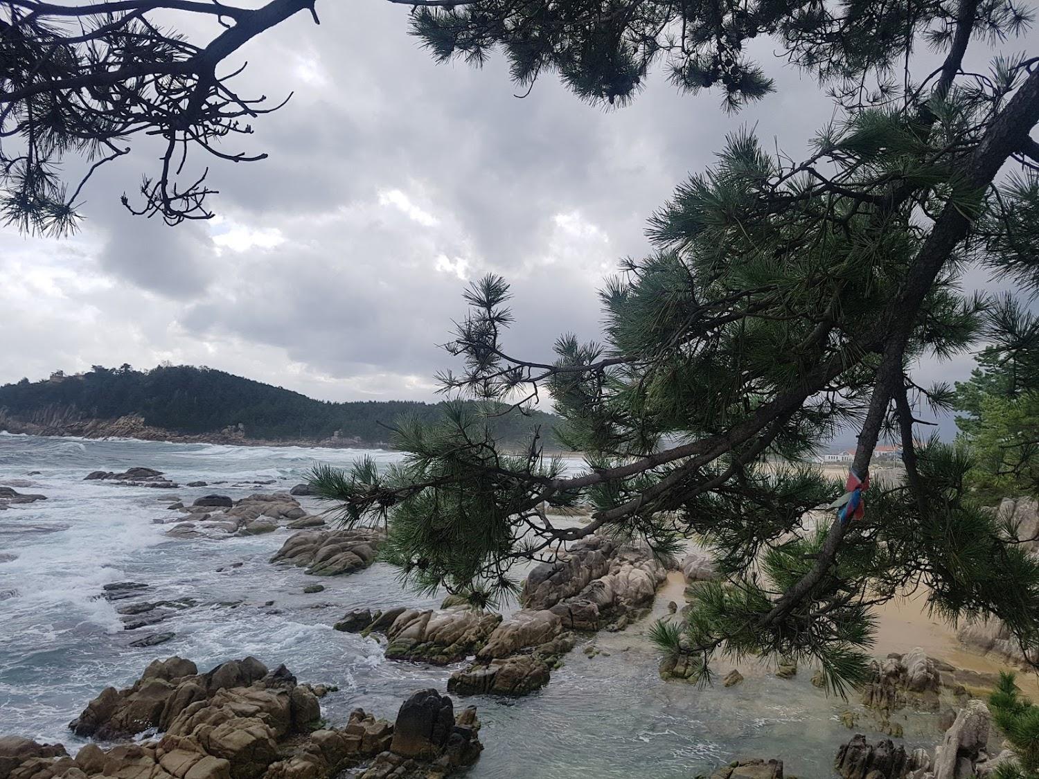 Cover Image for 조나단민박