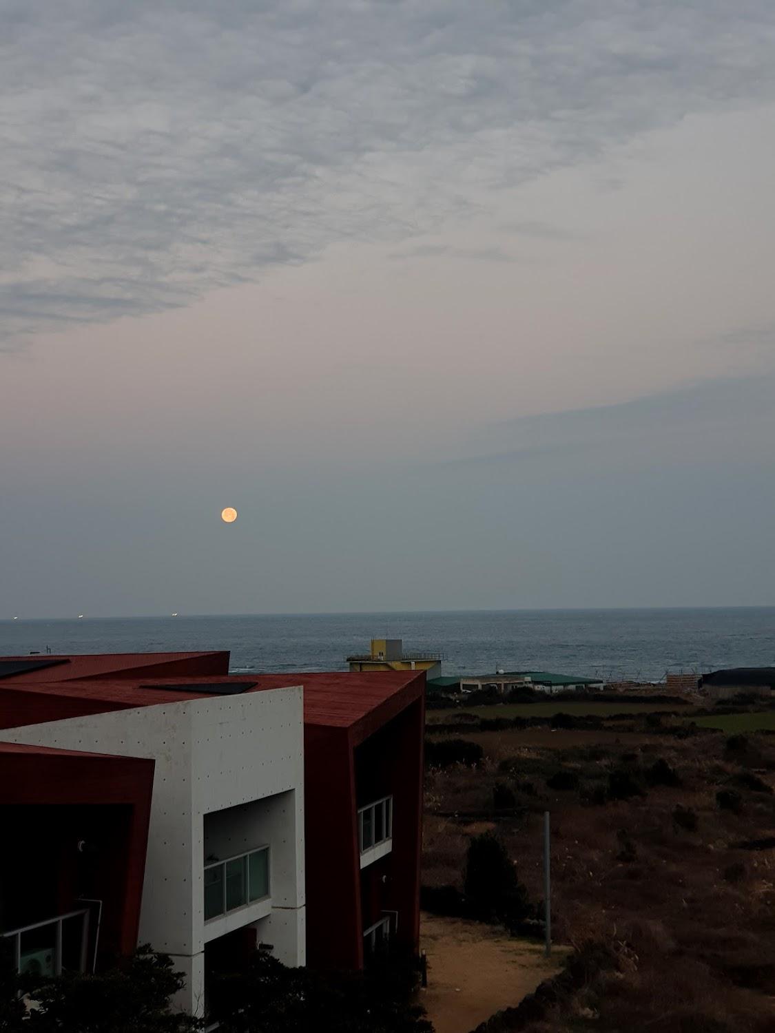 Cover Image for 피노엔키오