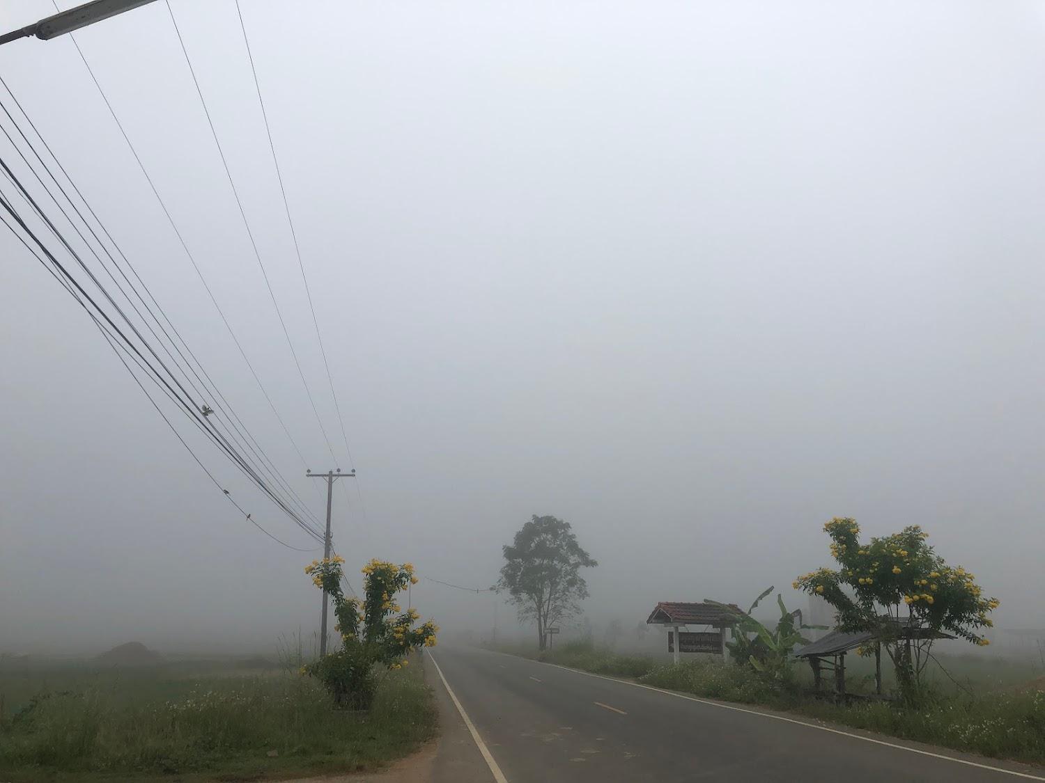 Cover Image for ร่มไผ่รีสอร์ท