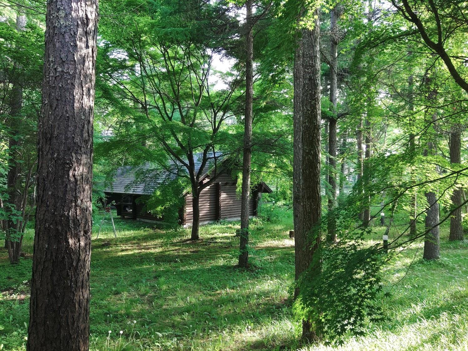 Cover Image for Suzukaruso