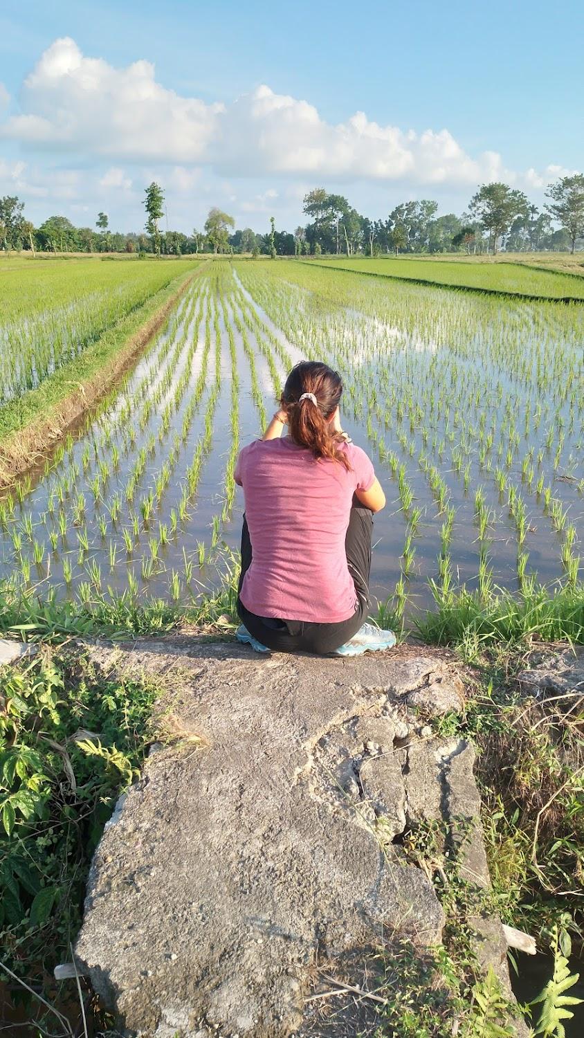 Cover Image for Yuda Homestay and Massage
