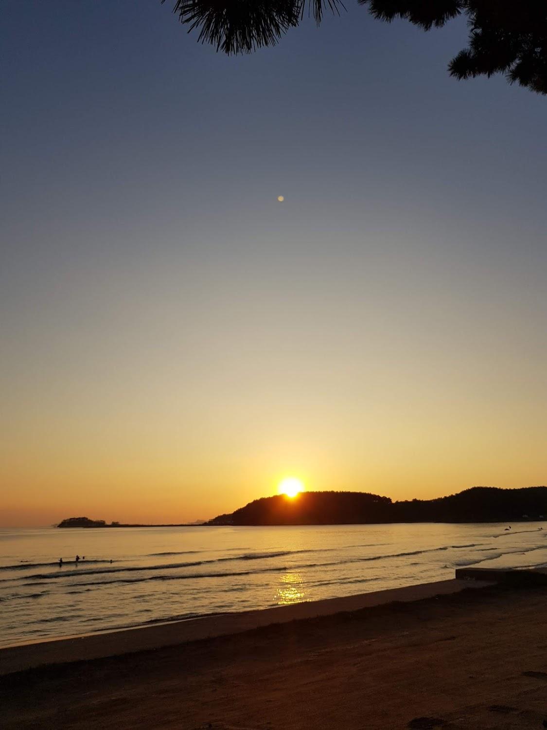 Cover Image for 아라펜션