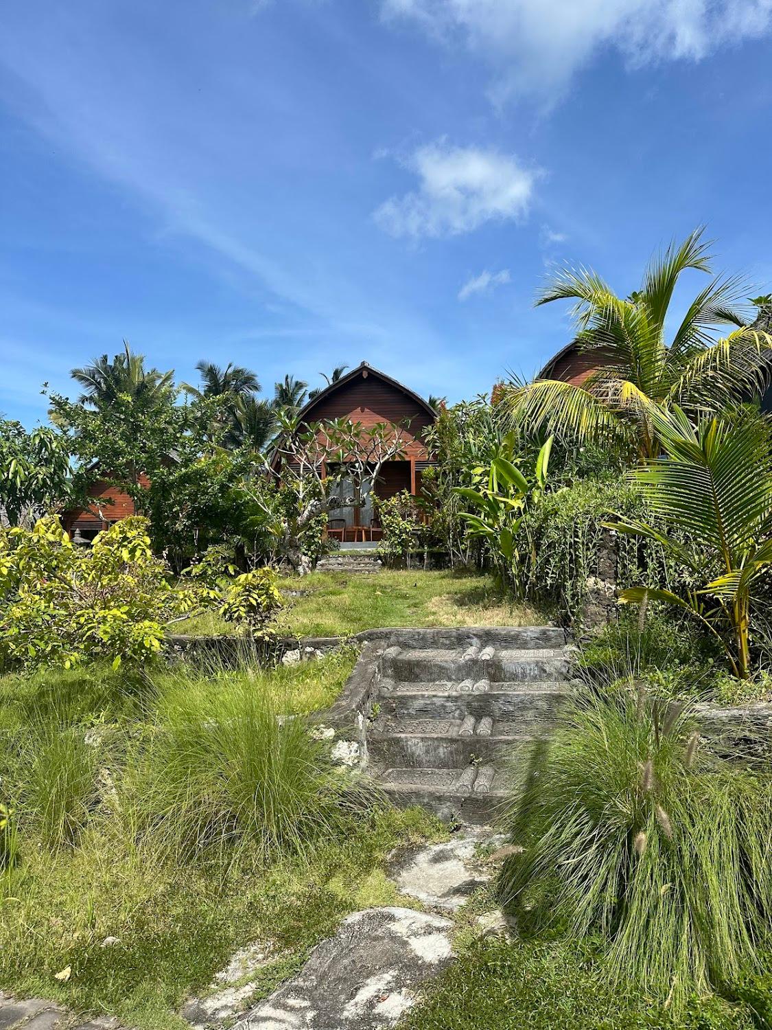 Cover Image for The Kleep Jungle Resort