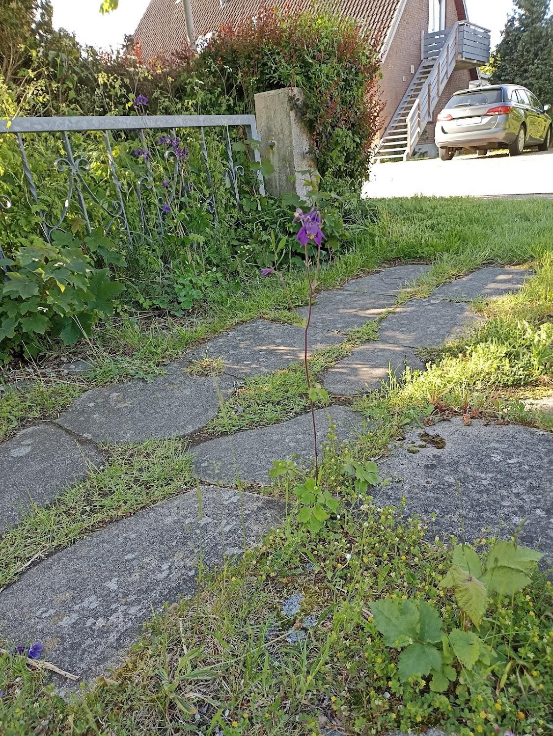 Cover Image for Blockhaus Thegen in Puttgarden auf Fehmarn