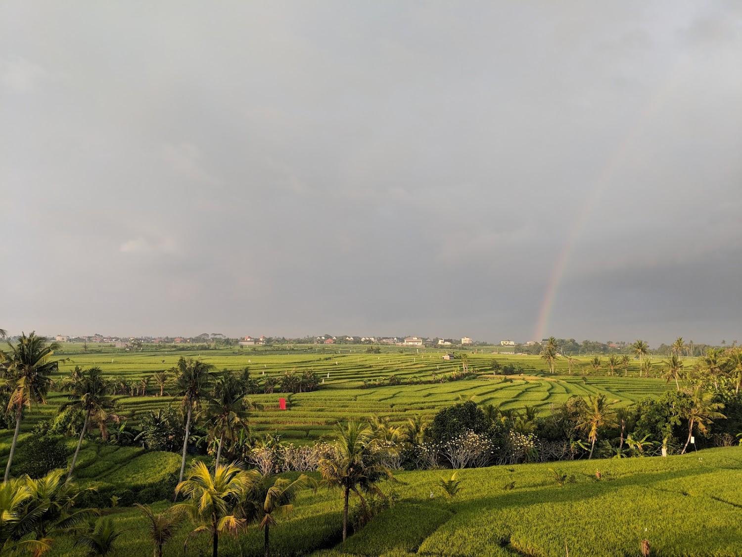 Cover Image for William's Place Bali