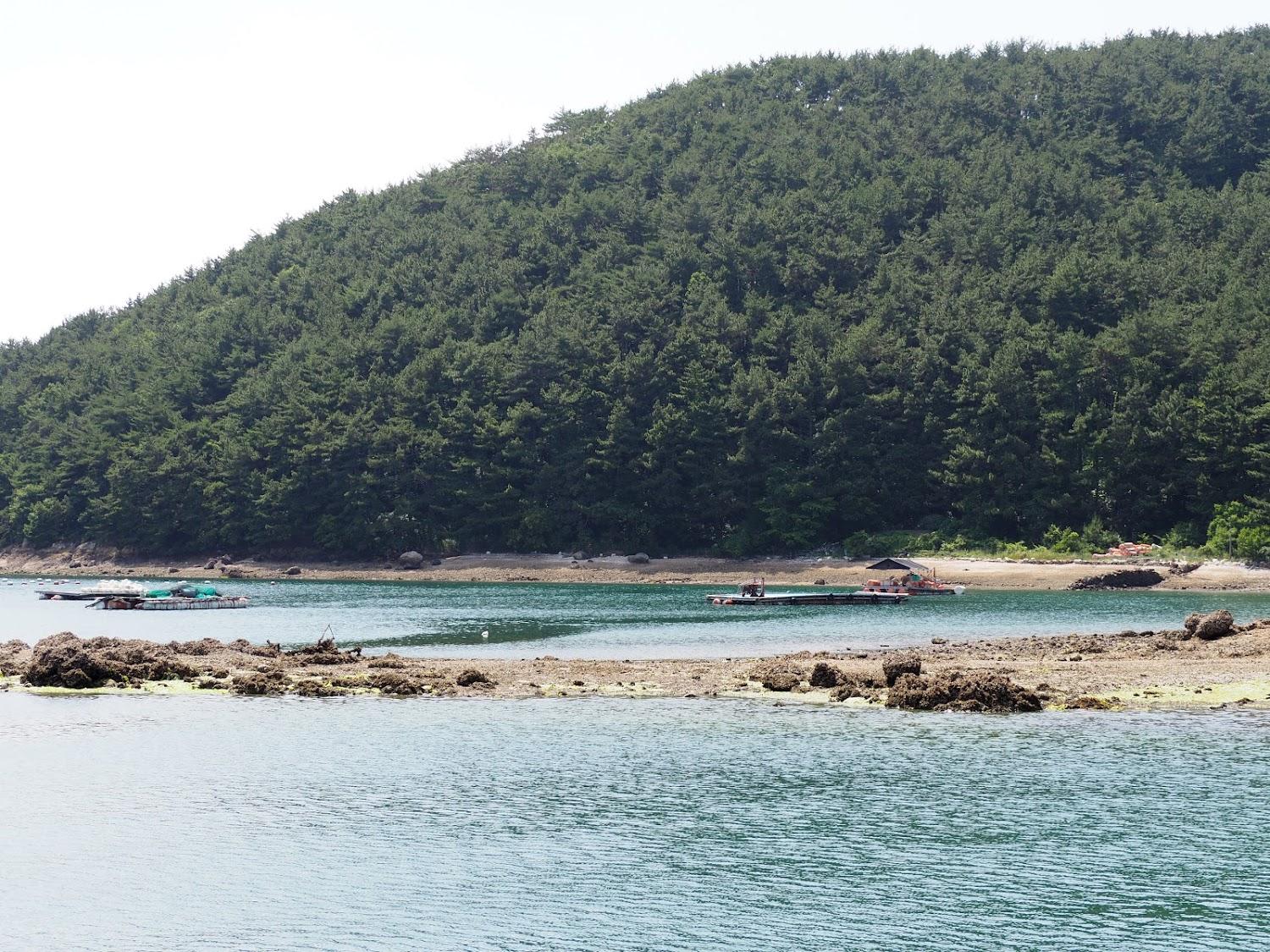 Cover Image for Matiss Beach Spa Pension