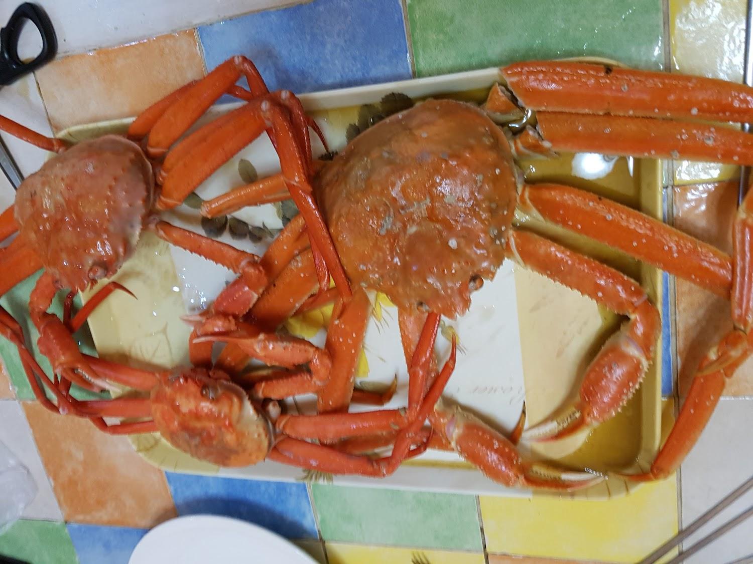 Cover Image for 다빛펜션