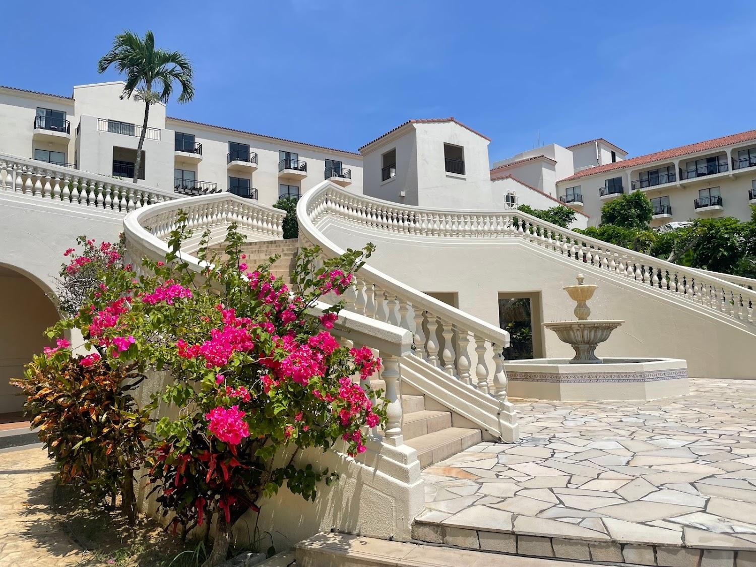 Cover Image for Hotel Nikko Alivila