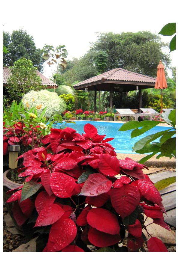 Cover Image for Tamarind Boutique Resort