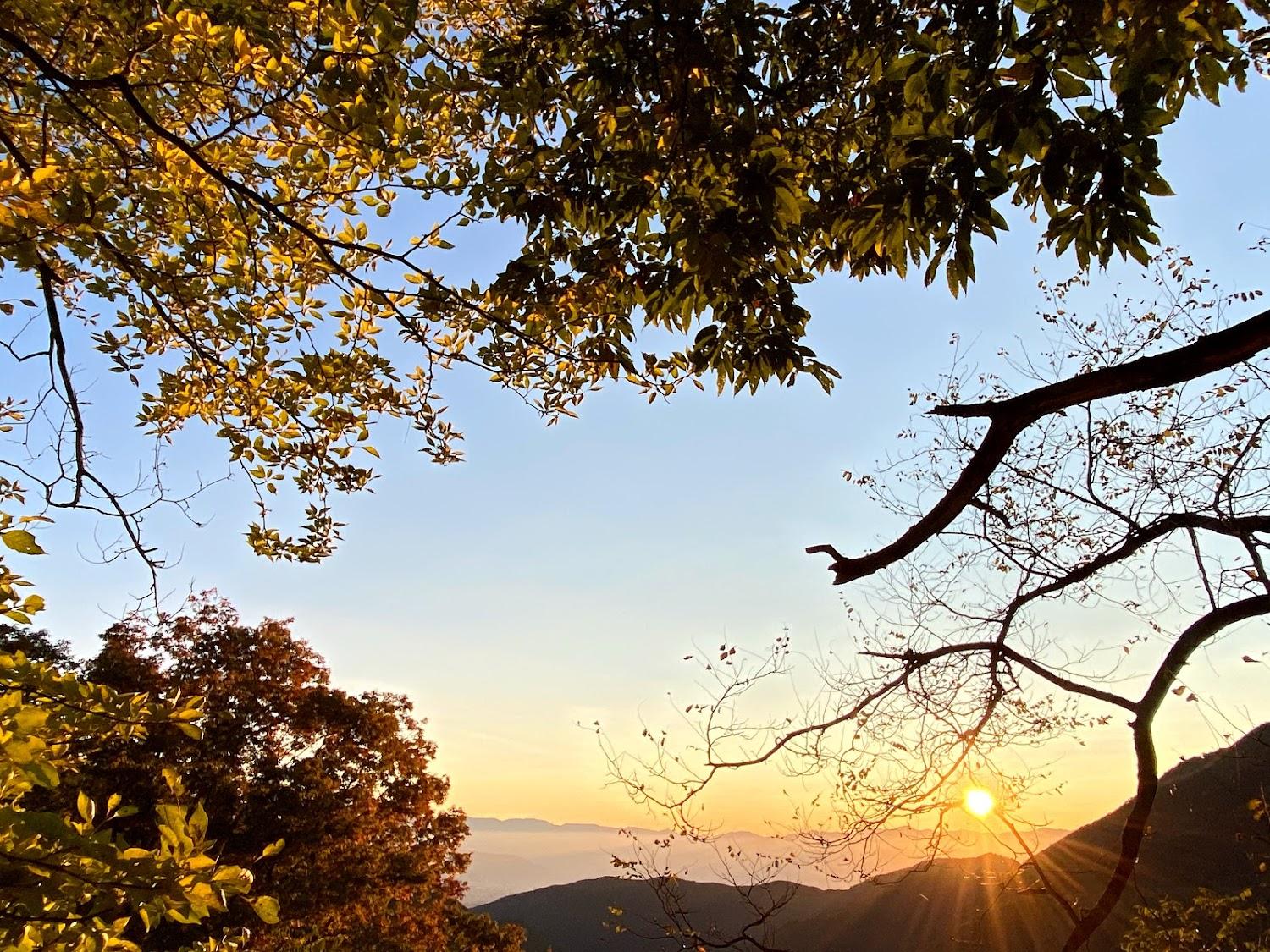 Cover Image for ふるさと料理のお宿 民宿旅館なとり屋