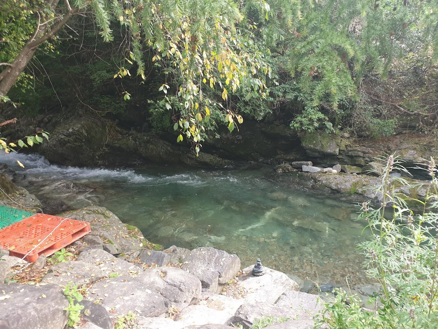Cover Image for 송림펜션