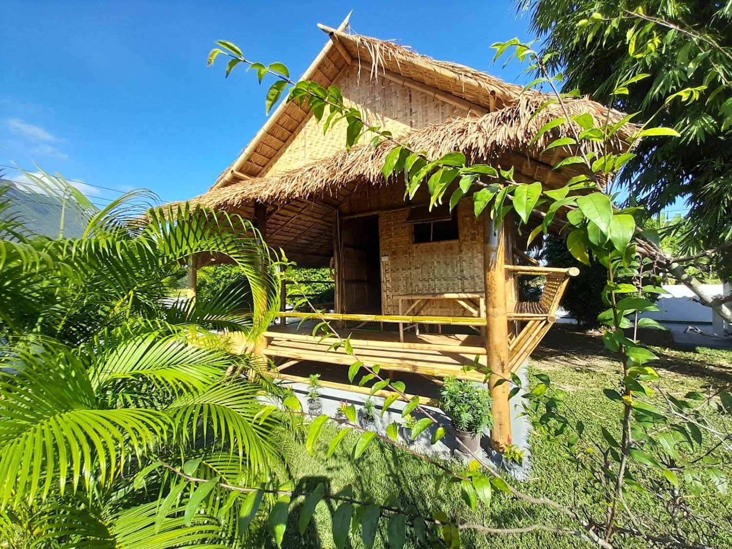 Cover Image for Tao Life Center