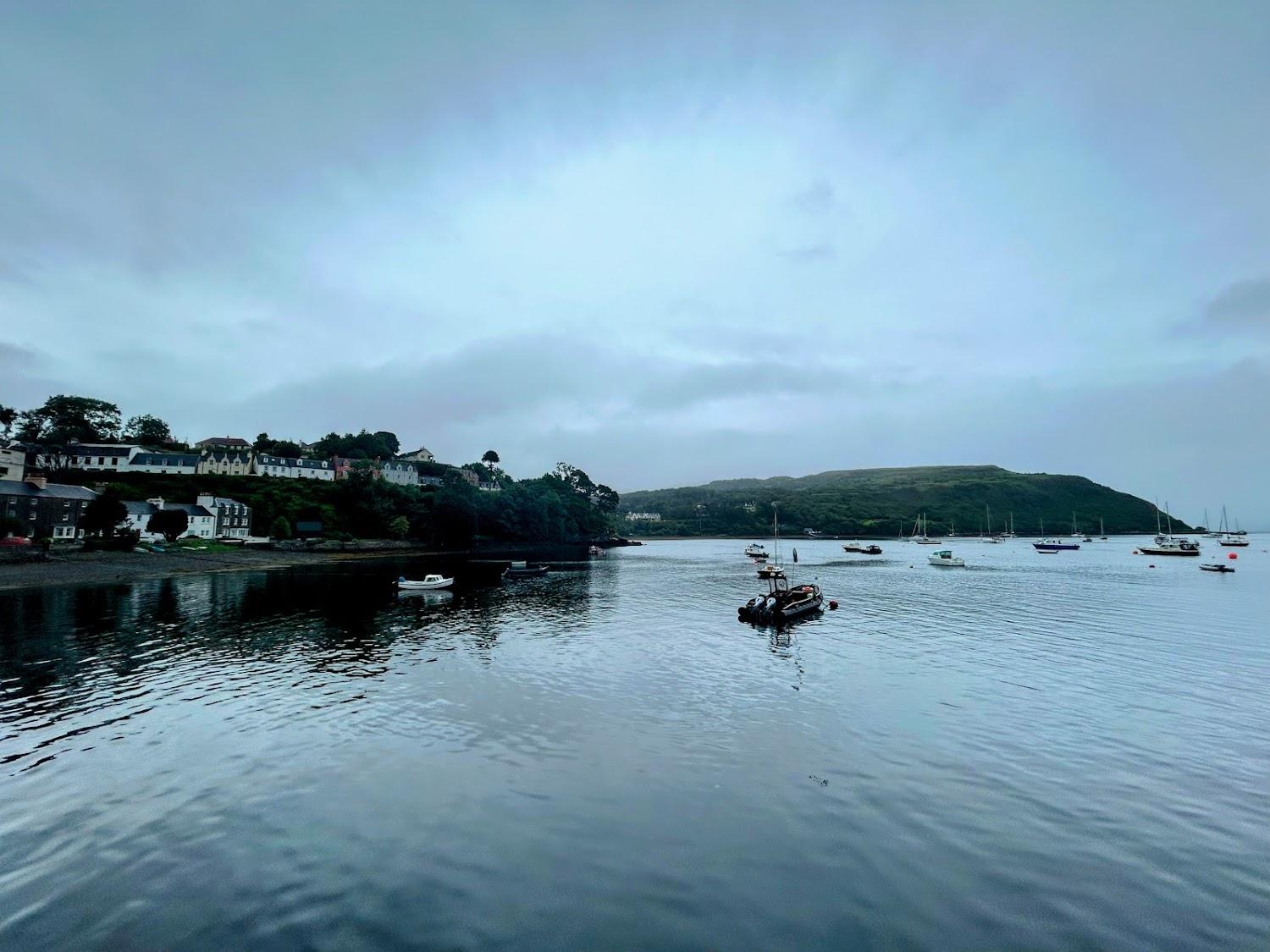Cover Image for THE PINK HOUSE