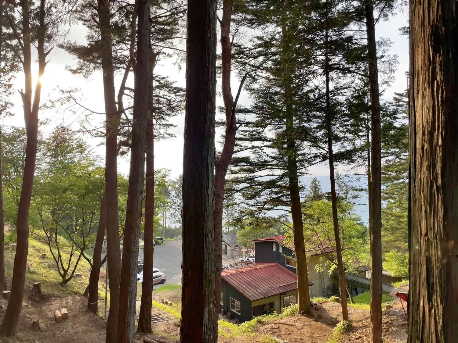 Cover Image for BOKYO FOREST CAMPGROUND