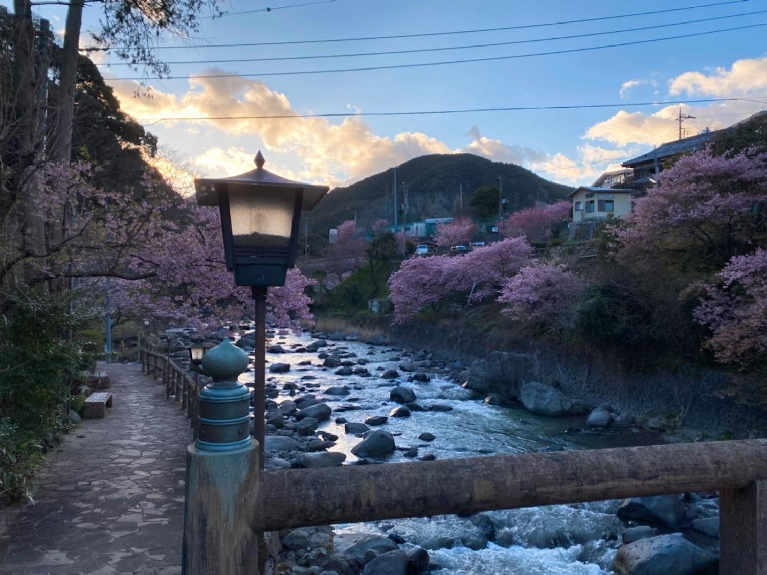 Cover Image for 伊豆の踊子の宿 福田家
