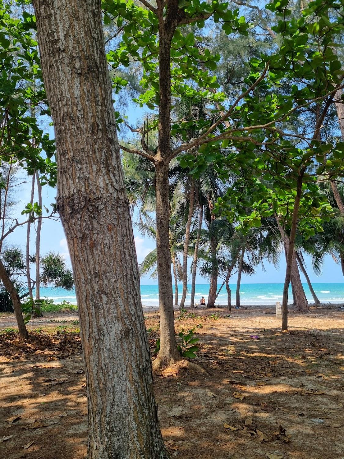 Cover Image for Nice Beach Hotel (Rayong).