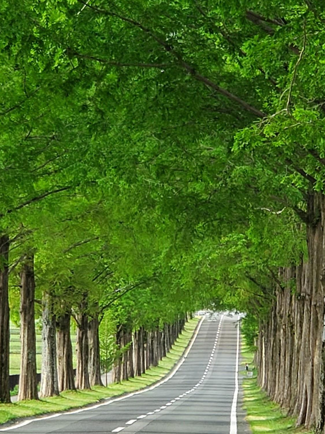 Cover Image for みくに館山の家
