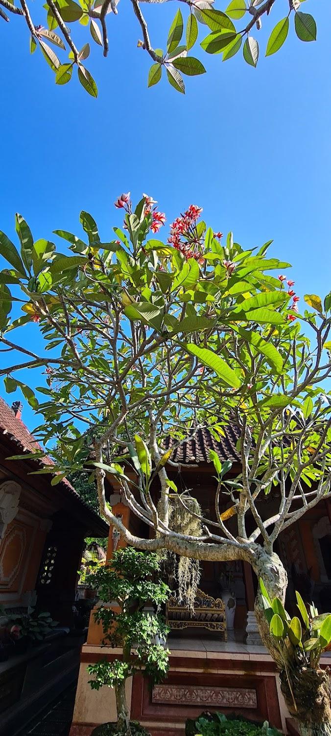 Cover Image for Rodja Home Stay