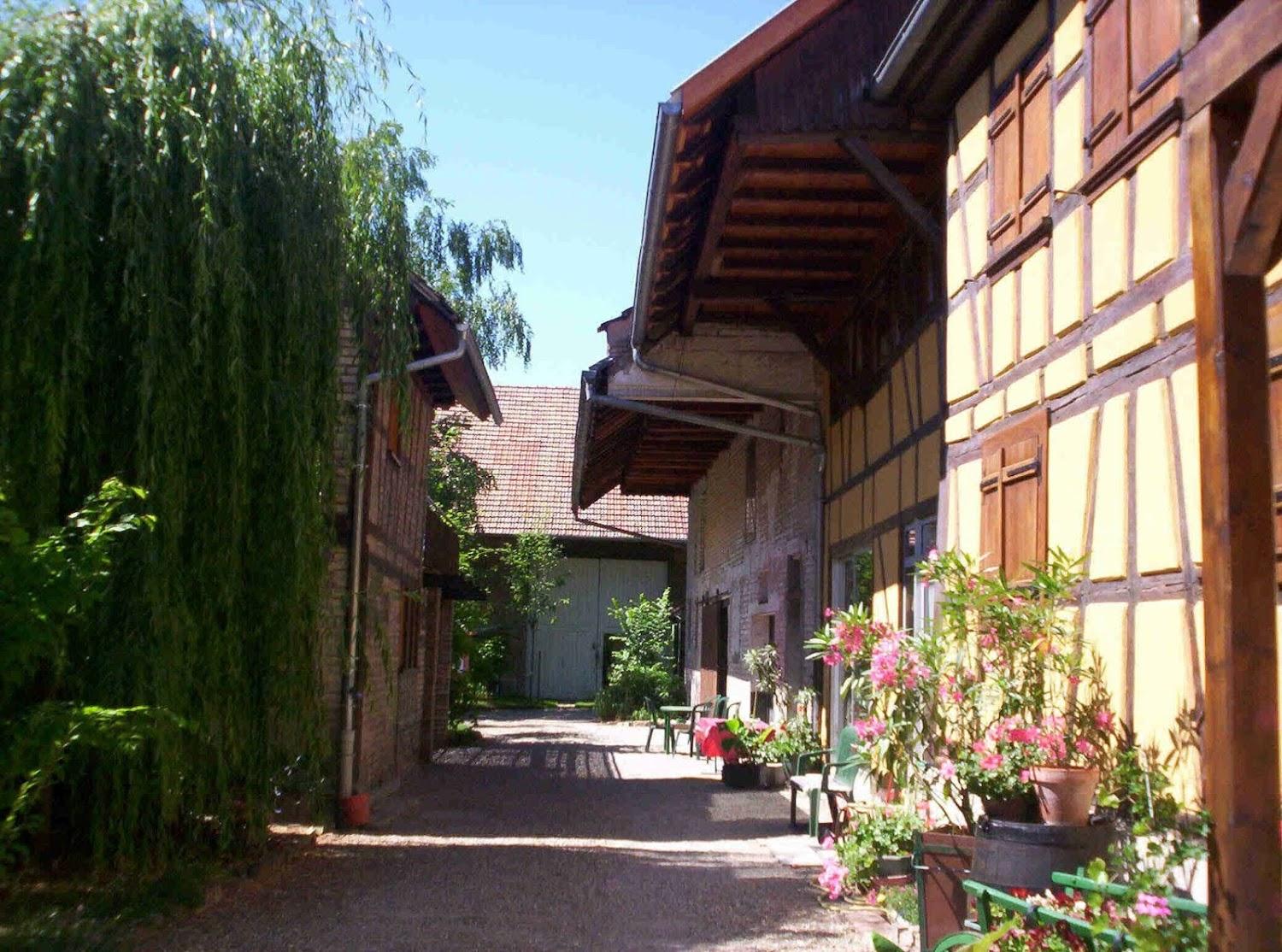 Cover Image for la cour de J'Anne