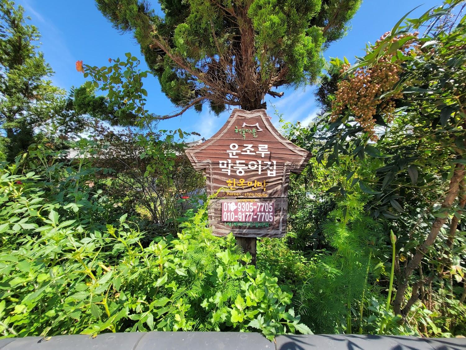 Cover Image for 운조루막둥이집