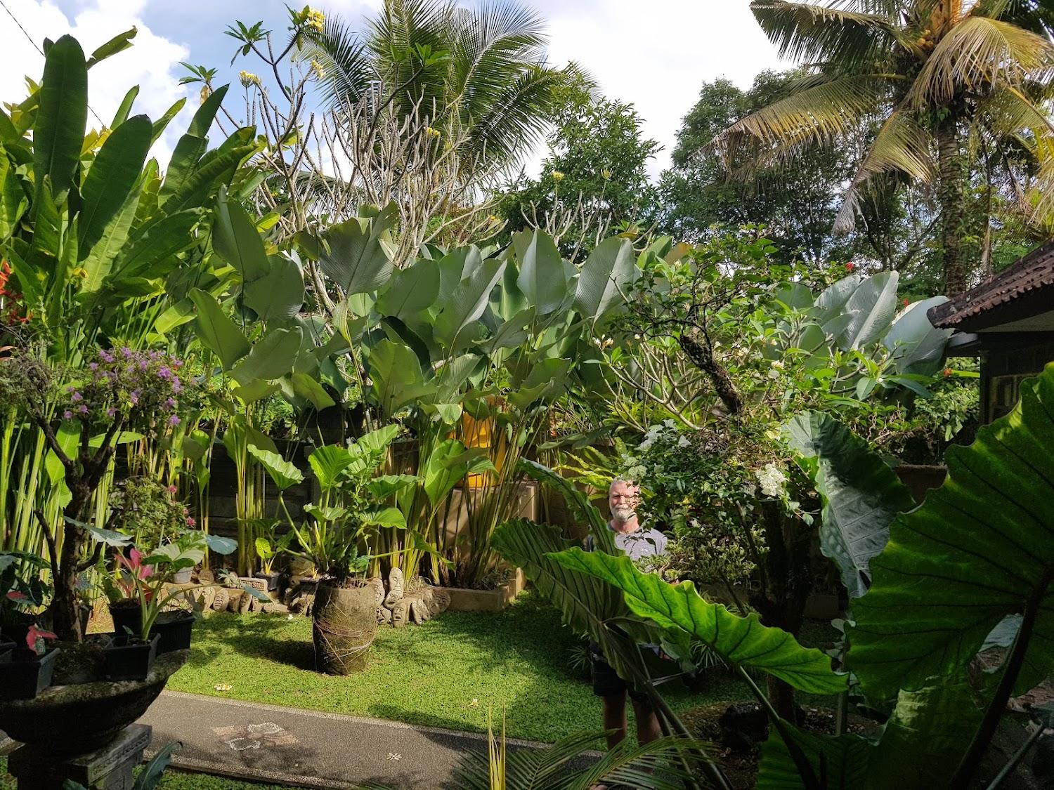 Cover Image for Suryadina Guest House