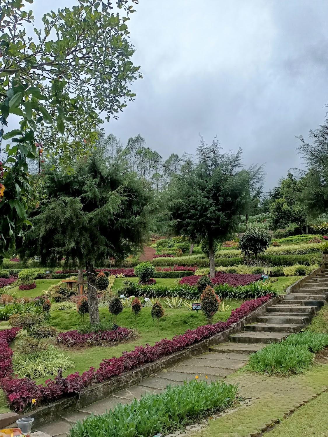 Cover Image for Darajat Pass