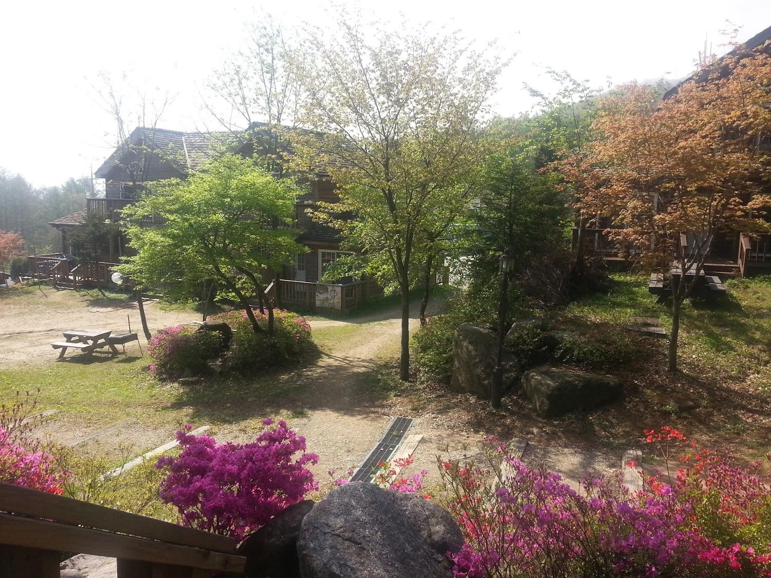 Cover Image for 펜션레이
