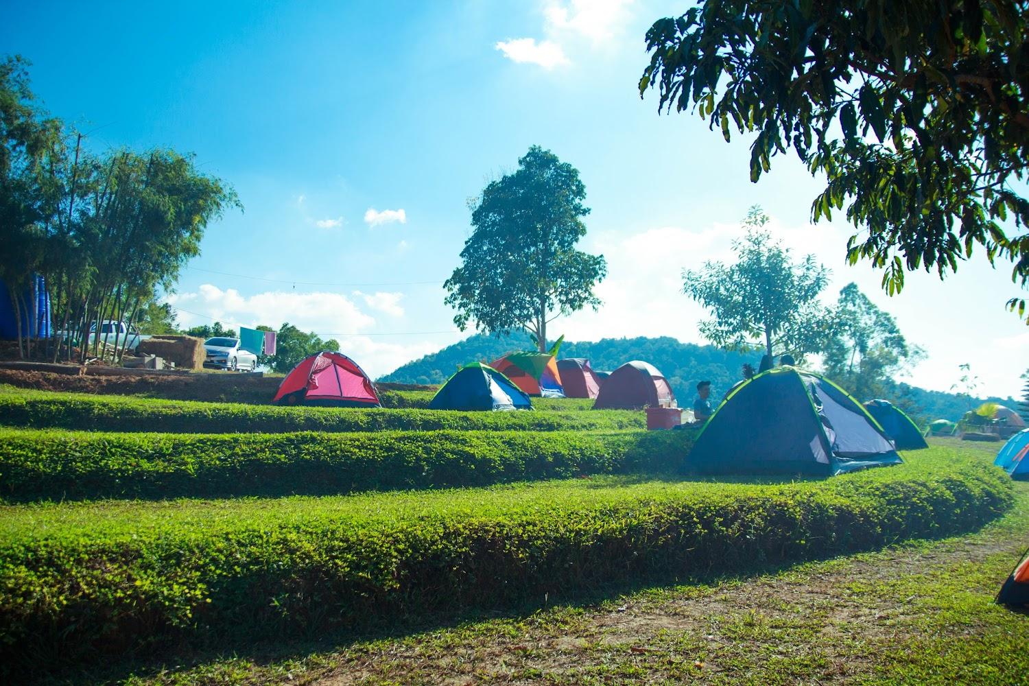 Cover Image for ภูลิขิตวิว เขาค้อ