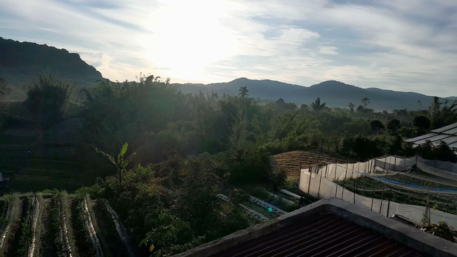 Cover Image for Sapo Deleng Homestay