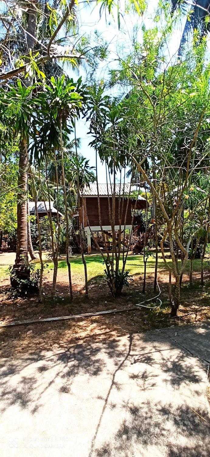 Cover Image for Papillon Bungalows