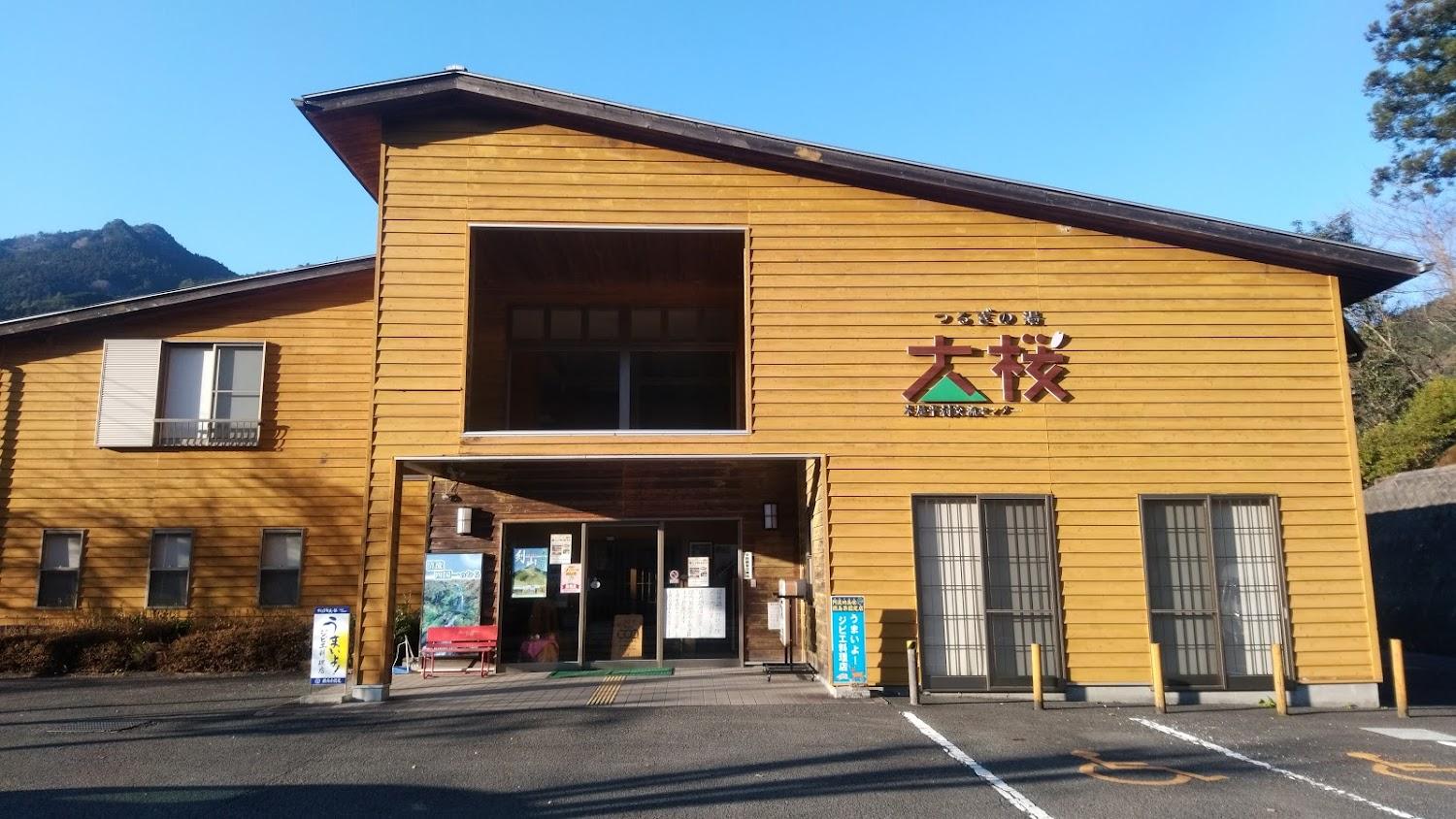 Cover Image for つるぎの湯大桜