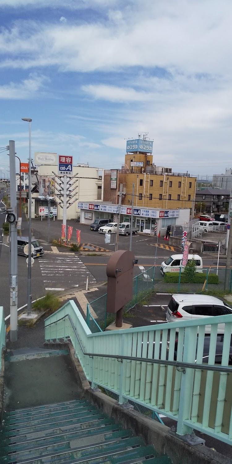 Cover Image for Hotel New Tanaka