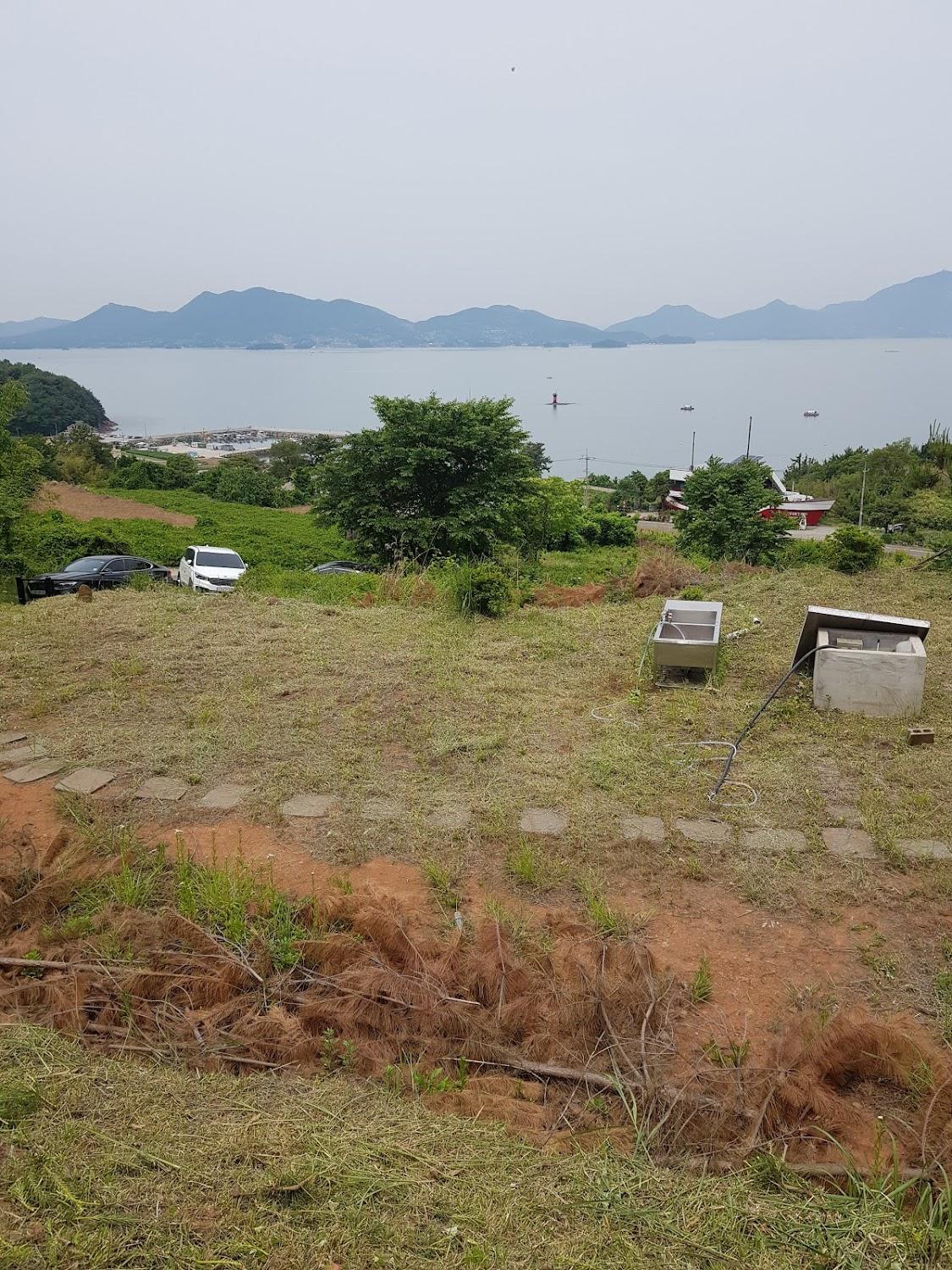 Cover Image for 바이킹레스토랑