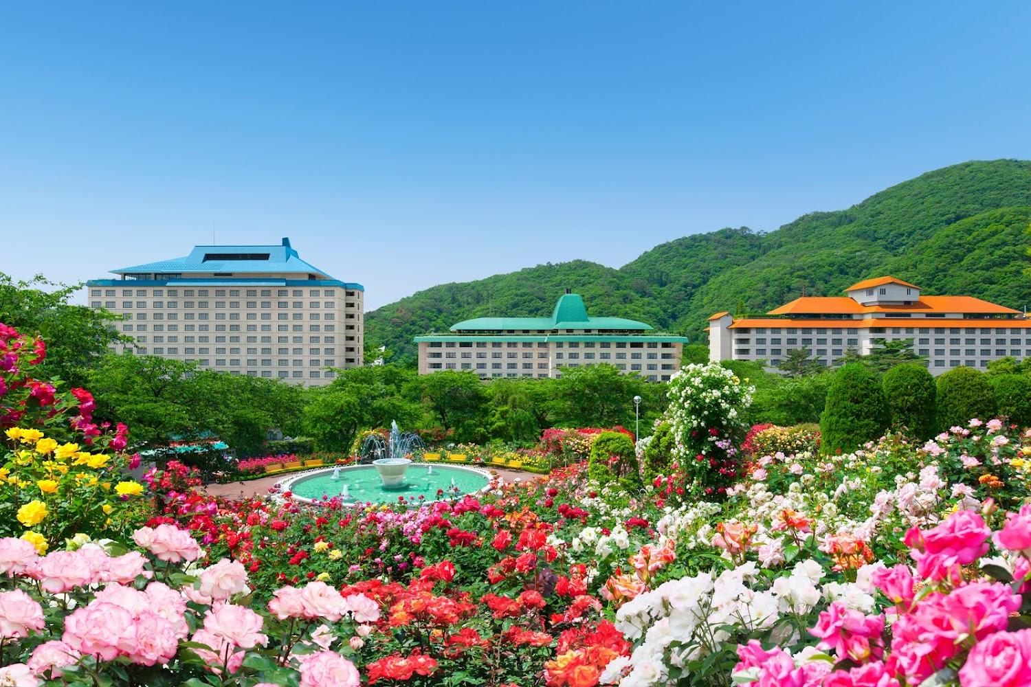 Cover Image for Hotel Hanamaki